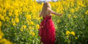 Ideen für eine enkeltaugliche Landwirtschaft