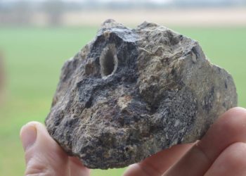 Wenn Steine vom Himmel fallen – Suevit, das Gestein des Jahres 2024