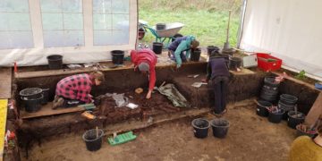 Die steinzeitlichen Funde im Duvenseer Moor