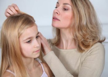 Mehr Kopfläuse im Herzogtum Lauenburg 