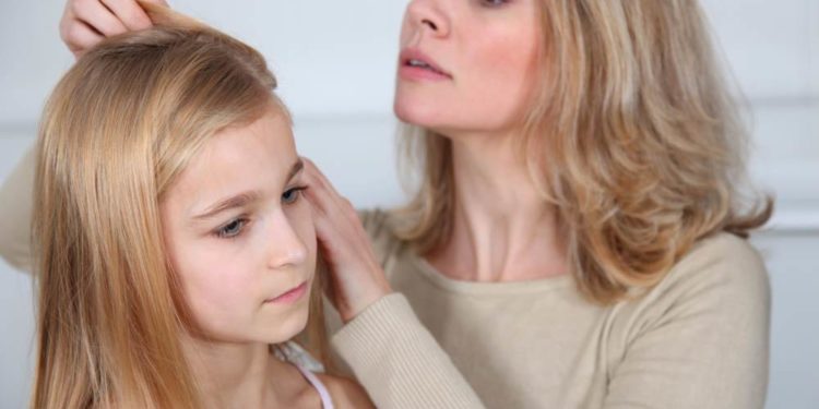 Mehr Kopfläuse im Herzogtum Lauenburg 