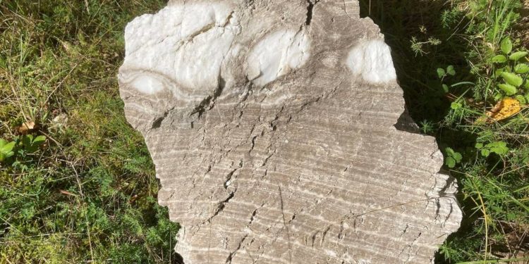 Hochexplosiven Vulkanismus und eindampfende Meere erleben