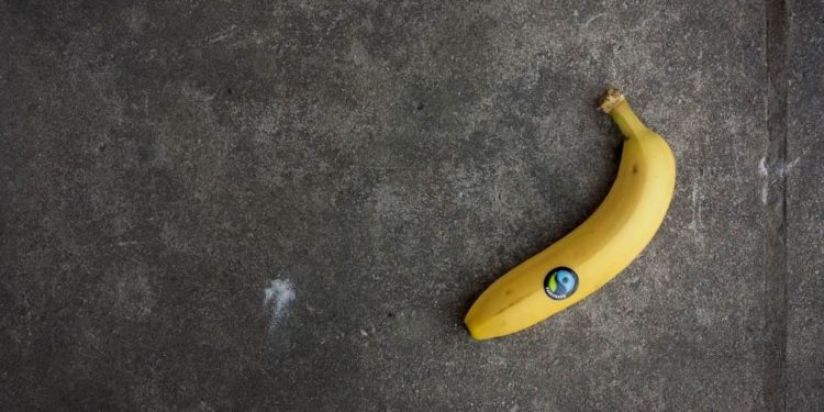 Wer engagiert sich bei der Fairtrade-Steuerungsgruppe