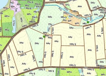 Grüne Paragraphen – Wie Naturschutzrecht in Planungsverfahren umgesetzt wird
