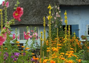 Op Platt: Oma’s Vörgoorn und ick