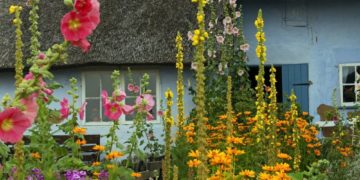 Op Platt: Oma’s Vörgoorn und ick