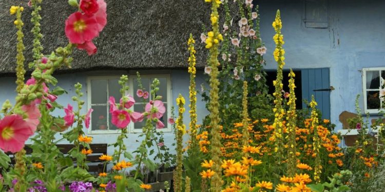 Op Platt: Oma’s Vörgoorn und ick