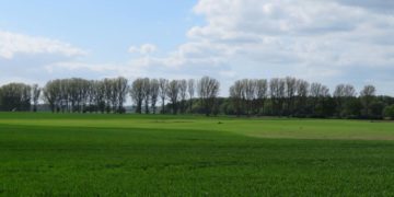 Erlebniswanderung durch Feld und Flur am Gut Basthorst