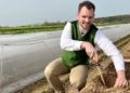 Landesweite Spargelsaison beginnt im Herzogtum Lauenburg