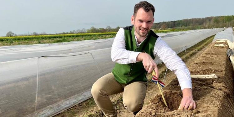 Landesweite Spargelsaison beginnt im Herzogtum Lauenburg