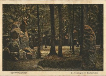 Vortrag über die Geschichte des Sachsenwalds