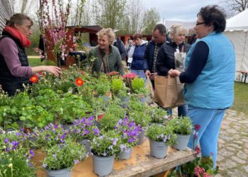 Biosphäre-Schaalsee-Markt in Zarrentin