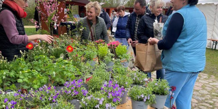 Biosphäre-Schaalsee-Markt in Zarrentin