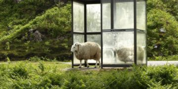 Schülerfahrkarten für das kommende Schuljahr