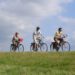 Fahrradtour im Naturschutzgebiet „Stecknitz-Delvenau-Niederung“