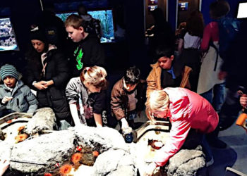 Kinderschutzbund brachte Möllner Kindern spannende Ferienerlebnisse