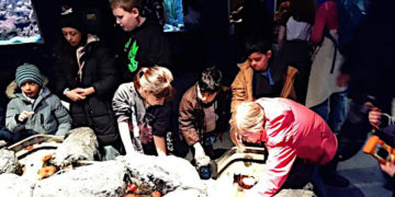 Kinderschutzbund brachte Möllner Kindern spannende Ferienerlebnisse