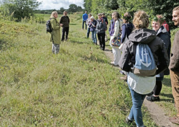 Kräuterführung „Lieber Kräuterführung oder Pflanzenapp?“ mit Anna Habicht am 12. Mai