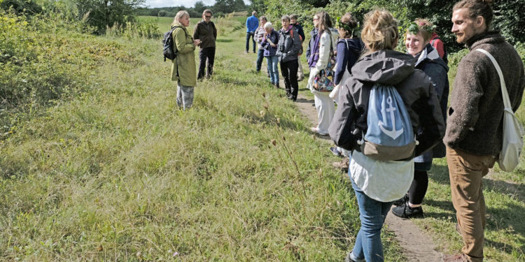 Kräuterführung „Lieber Kräuterführung oder Pflanzenapp?“ mit Anna Habicht am 12. Mai