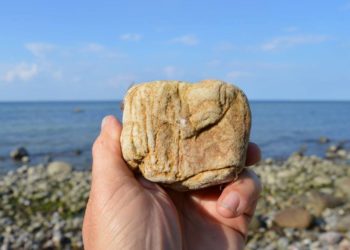 Steine, Fossilien und Meer