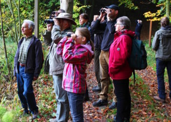 Botschafter für Natur und Mensch in der Region Naturpark Lauenburgische Seen gesucht
