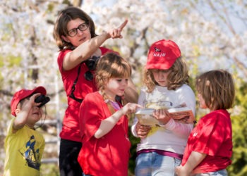 Gartenvögel zählen mit Experten am 11. Mai am Pahlhuus in Zarrentin