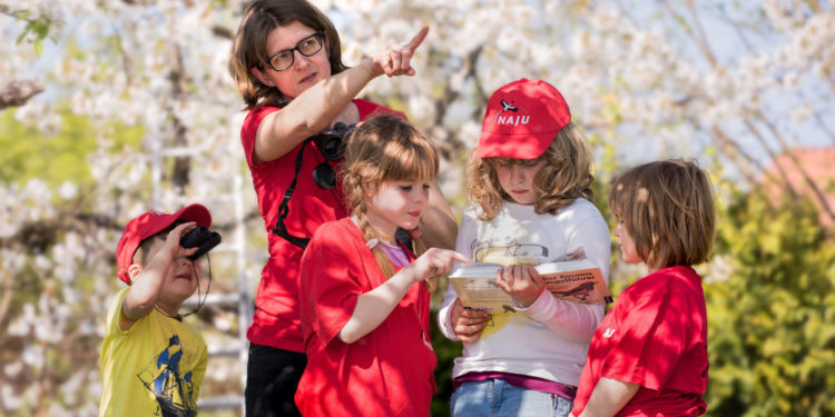Gartenvögel zählen mit Experten am 11. Mai am Pahlhuus in Zarrentin