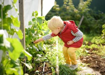 Vorsicht vor giftigen Pflanzen im heimischen Garten