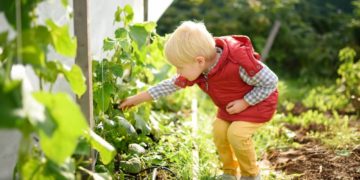 Vorsicht vor giftigen Pflanzen im heimischen Garten