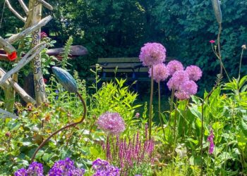 „Kultursommer am Kanal“ in Basedow