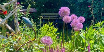 „Kultursommer am Kanal“ in Basedow