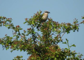 Vielfältige Naturparktouren in sommerlicher Landschaft