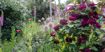 Offener Garten in Basedow