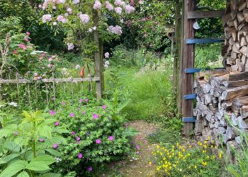 Offener Garten in Breitenfelde