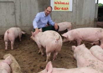 Tag des offenen Hofes in Buchholz