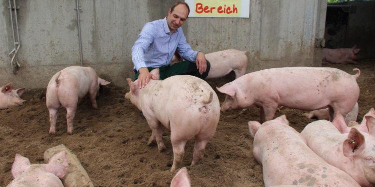 Tag des offenen Hofes in Buchholz