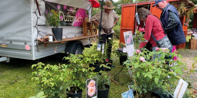 Biosphäre-Schaalsee-Markt Markt mit regionalen Produkten