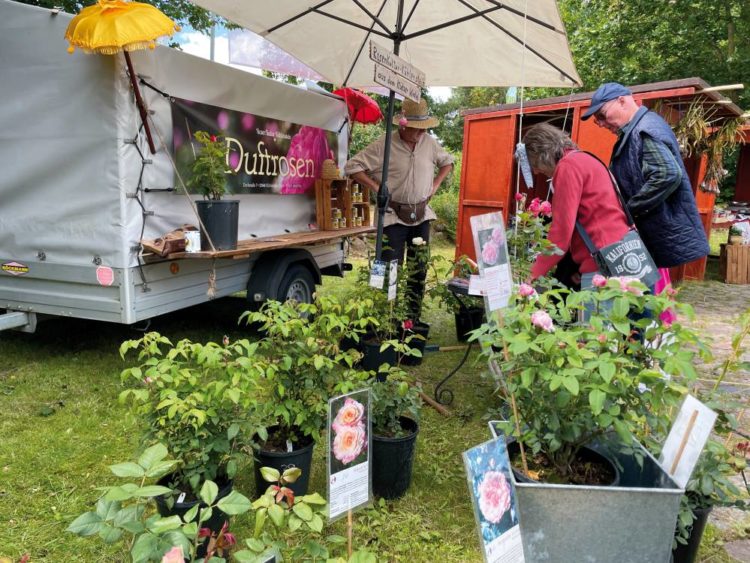 Biosphäre-Schaalsee-Markt Markt mit regionalen Produkten