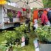 Biosphäre-Schaalsee-Markt Markt mit regionalen Produkten