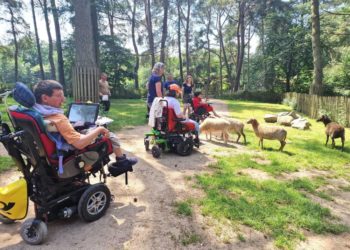 Ein inklusiver Weg am Möllner Wildpark