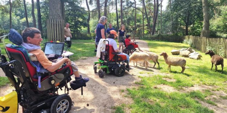 Ein inklusiver Weg am Möllner Wildpark