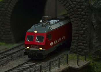Sommerfest 2024 der Eisenbahnfreunde Schwarzenbek