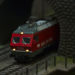 Sommerfest 2024 der Eisenbahnfreunde Schwarzenbek