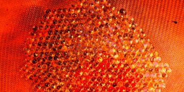 Curiosus Mutation - Roter Traum heißt das Werk von Gesine Biller, das in der Gartengalerie in Mustin im Rahmen vom Kultursommer am Kanal gezeigt wird. Foto: hfr