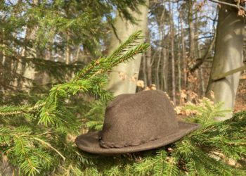 Entfällt: Naturpark-Tour am Küchensee