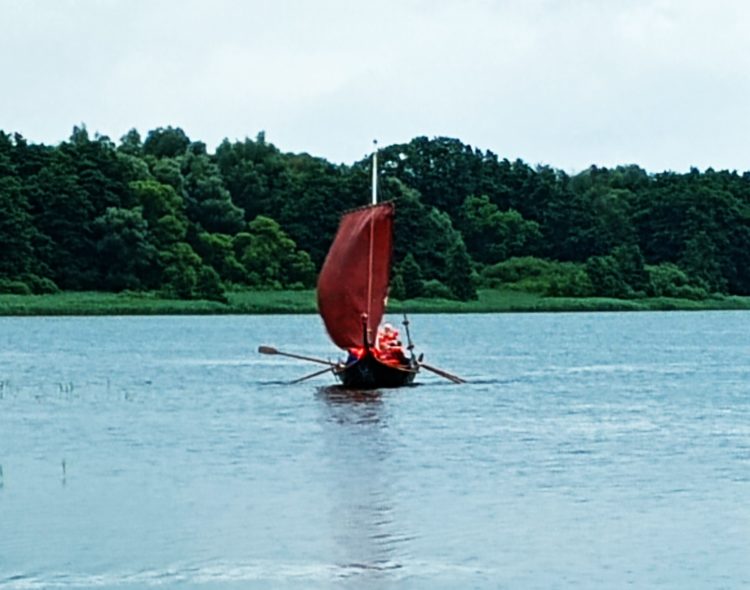 Viele Teilnehmende beim „Staffellauf der Vielfalt“ um den Ratzeburger See