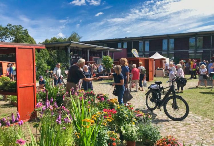 Biosphäre-Schaalsee-Markt mit regionalen Produkten