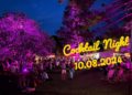 Urlaubsfeeling vor der Haustür bei der Cocktail-Night Mölln