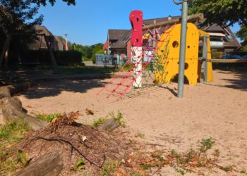 Kinder und Waldameisen teilen sich einen Lebensraum