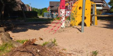 Kinder und Waldameisen teilen sich einen Lebensraum